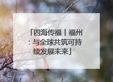 四海传福丨福州：与全球共筑可持续发展未来